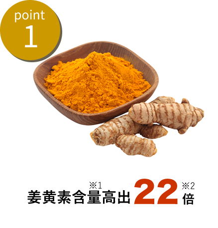 point1 姜黄素含量高出 22 倍