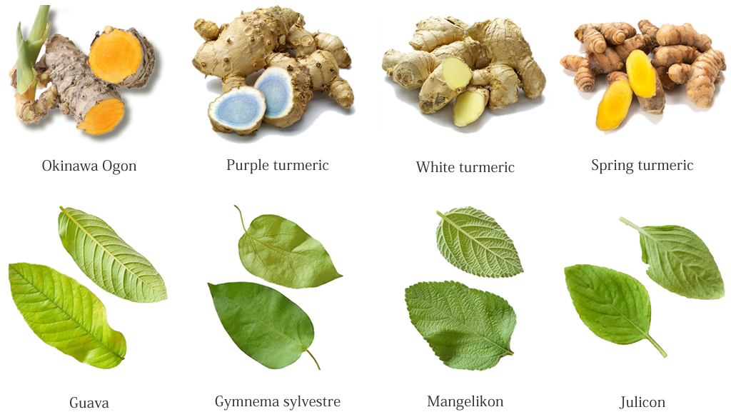 100% of the ingredients are made in Okinawa