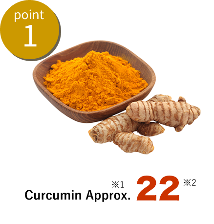 point1クルクミンが約22倍