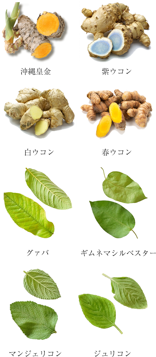 こだわり素材は100%沖縄産