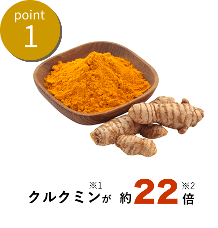 point1クルクミンが約22倍